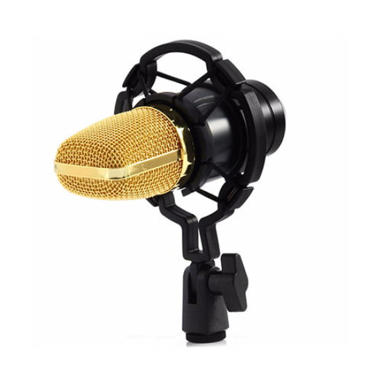 AW BM-700 Studio Recording Condenser Microphone